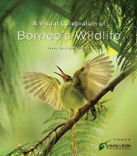 Cover Visual Celebration of Borneo's Wildlife