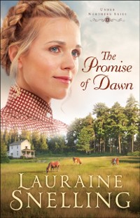 Cover Promise of Dawn (Under Northern Skies Book #1)