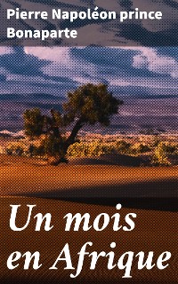 Cover Un mois en Afrique