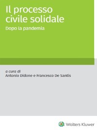 Cover Il processo civile solidale