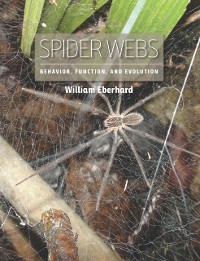 Cover Spider Webs