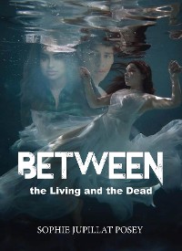 Cover Between the Living and the Dead