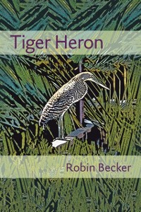 Cover Tiger Heron