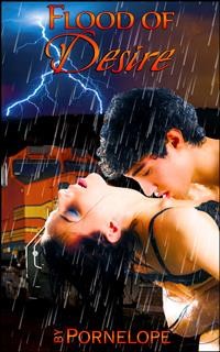 Cover Flood Of Desire (Book 2 of &quote;The Librarian's Horny Assistant&quote;)