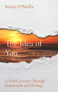 Cover The Idea of You