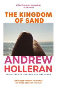 Cover The Kingdom of Sand : the exhilarating new novel from the author of Dancer from the Dance