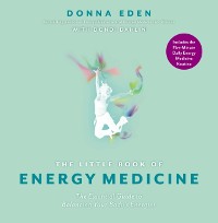 Cover Little Book of Energy Medicine