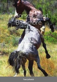 Cover Horse Called Baltimore