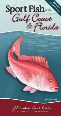 Cover Sport Fish of the Gulf Coast & Florida