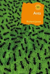 Cover Ants