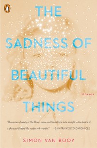 Cover Sadness of Beautiful Things
