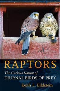 Cover Raptors