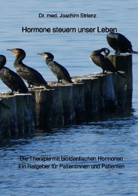 Cover Hormone steuern unser Leben