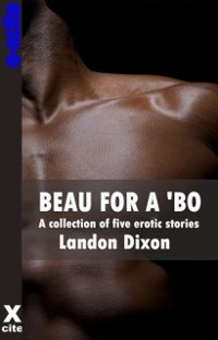 Cover Beau For A Bo