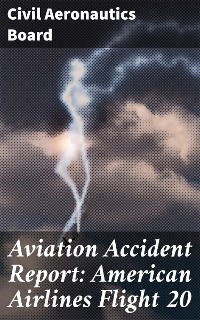 Cover Aviation Accident Report: American Airlines Flight 20