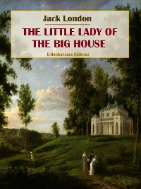 Cover The Little Lady of the Big House