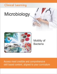 Cover Motility of Bacteria