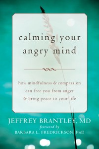 Cover Calming Your Angry Mind
