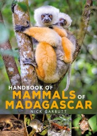 Cover Handbook of Mammals of Madagascar