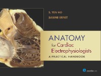 Cover Anatomy for Cardiac Electrophysiologists: A Practical Handbook