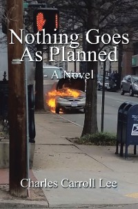 Cover Nothing Goes as Planned - a Novel