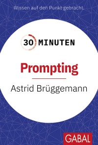 Cover 30 Minuten Prompting