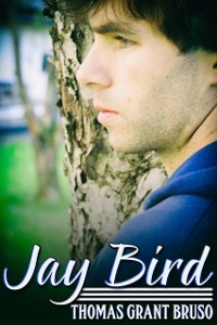 Cover Jay Bird