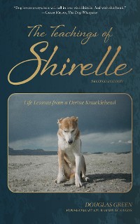 Cover The Teachings of Shirelle