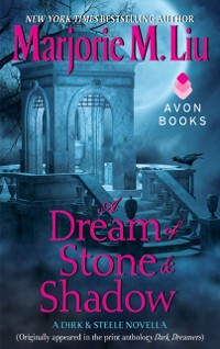 Cover Dream of Stone & Shadow