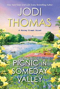 Cover Picnic in Someday Valley