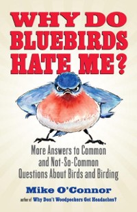 Cover Why Do Bluebirds Hate Me?