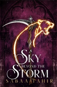 Cover Sky Beyond the Storm