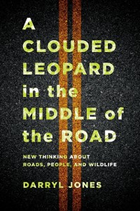 Cover Clouded Leopard in the Middle of the Road