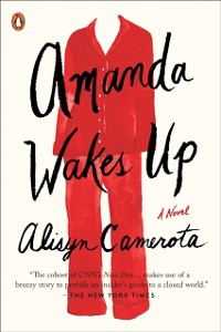 Cover Amanda Wakes Up