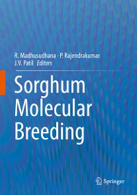 Cover Sorghum Molecular Breeding