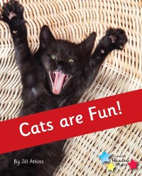 Cover Cats are Fun!