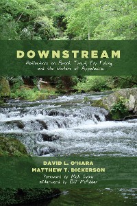 Cover Downstream