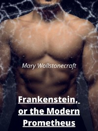 Cover Frankenstein,  or the Modern Prometheus