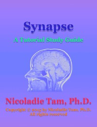 Cover Synapse: A Tutorial Study Guide