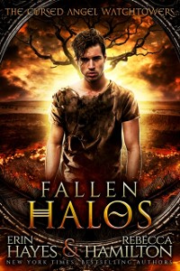 Cover Fallen Halos