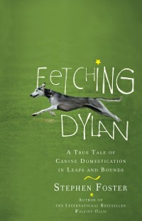 Cover Fetching Dylan