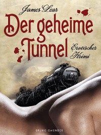Cover Der geheime Tunnel