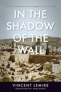 Cover In the Shadow of the Wall