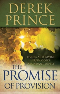 Cover Promise of Provision