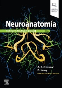 Cover Neuroanatomía. Texto y atlas en color