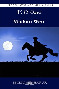 Cover Madam Wen (eLyfr)