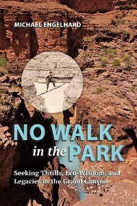 Cover No Walk in the Park