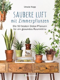 Cover Saubere Luft mit Zimmerpflanzen