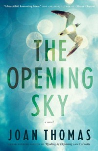 Cover Opening Sky