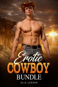 Cover Erotic Cowboy Bundle